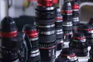 佳能官方答案 为什么有些镜头是白色的